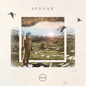 Apesar