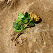 Summer Kisses Winter Tears