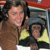 Greg Evigan