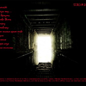 Крик тишины