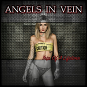 Trip of a Lifetime (Radio Version)