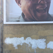 CONNECTIVE TISSUE SINGING LIKE A GOVERNMENT INSECT