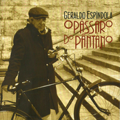 O Pássaro do Pântano
