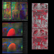 Cellular Memory