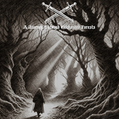 A Journey Through Enchanted Forests
