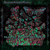 Balance of the Butterfly