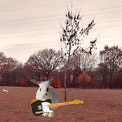 THE VOICES ARE TOO LOUD AND WONT STOP PLEASE LET IT END IT HURTS TOO MUCH AND I AM CRYING AND SCARED PLEASE LET ME GO HOME