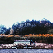 Brotherkenzie: carver