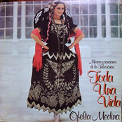 Toda Una Vida