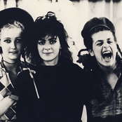 The Slits