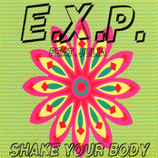 Shake Your Body