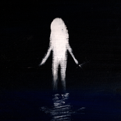 The Fog and The Forest