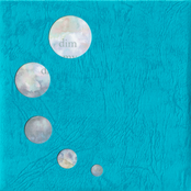 モノクロニクル/dims in wonder