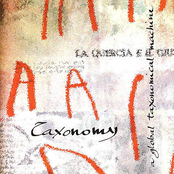 Dipinto Sul Nulla by Taxonomy