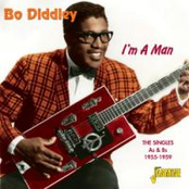 Bo Meets The Monster by Bo Diddley