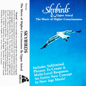 Skybirds