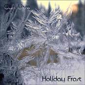 Snowflakes by Cari Live