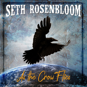 Seth Rosenbloom: As the Crow Flies