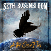 Seth Rosenbloom: As The Crow Flies