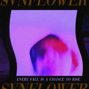 Every Fall Is a Chance To Rise