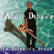 Andre Donawa