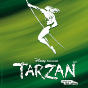 Disneys Musical: Tarzan (Music By Phil Collins) [Sonder Edition]