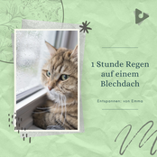 1 Stunde Regen auf einem Blechdach