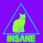 banda insane