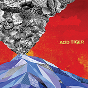 Like Thunder by Acid Tiger