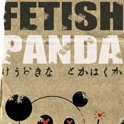 fetish panda