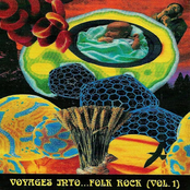 Voyages Into... Folk Rock Vol. 1