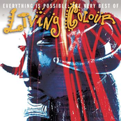 everything is possible: the very best of living colour