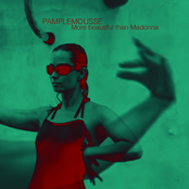 More Beautiful Than Madonna