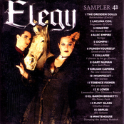 Elegy Sampler 41