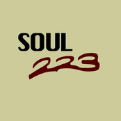 soul 223