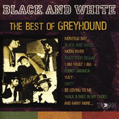 Greyhound - Peace And Love