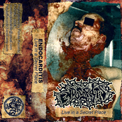 Live in a Secret Place