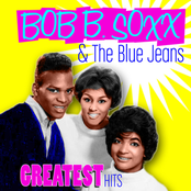 This Land Is Your Land by Bob B. Soxx & The Blue Jeans