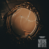 Nothing but Hate - Single