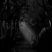 Decomposition