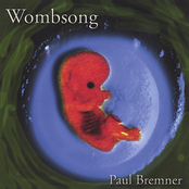 Wombsong by Paul Bremner