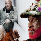 the orb featuring lee 'scratch' perry