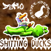Shitting Ducks
