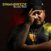 Spawnbreezie: Sincerely Dizzo