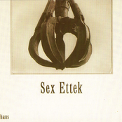 Song For On The Building by Sex Ettek