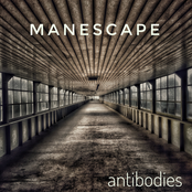 Antibodies