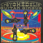 The Psychedelic Guitar Circus