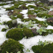 Kids in the Basement: Break Through!