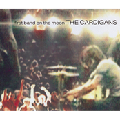 Great Divide by The Cardigans