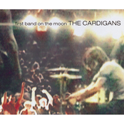 Lovefool by The Cardigans